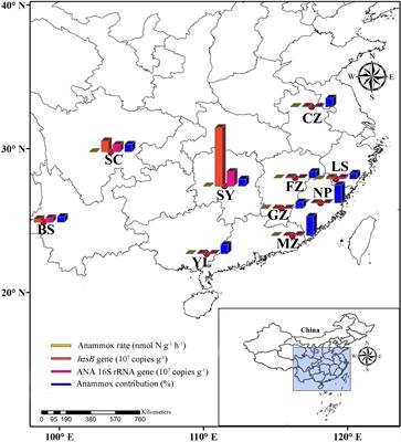 Anaerobic Ammonium Oxidation in Acidic Red Soils